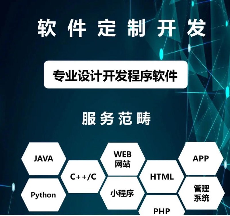 软件定制开发：企业成长的最佳伙伴